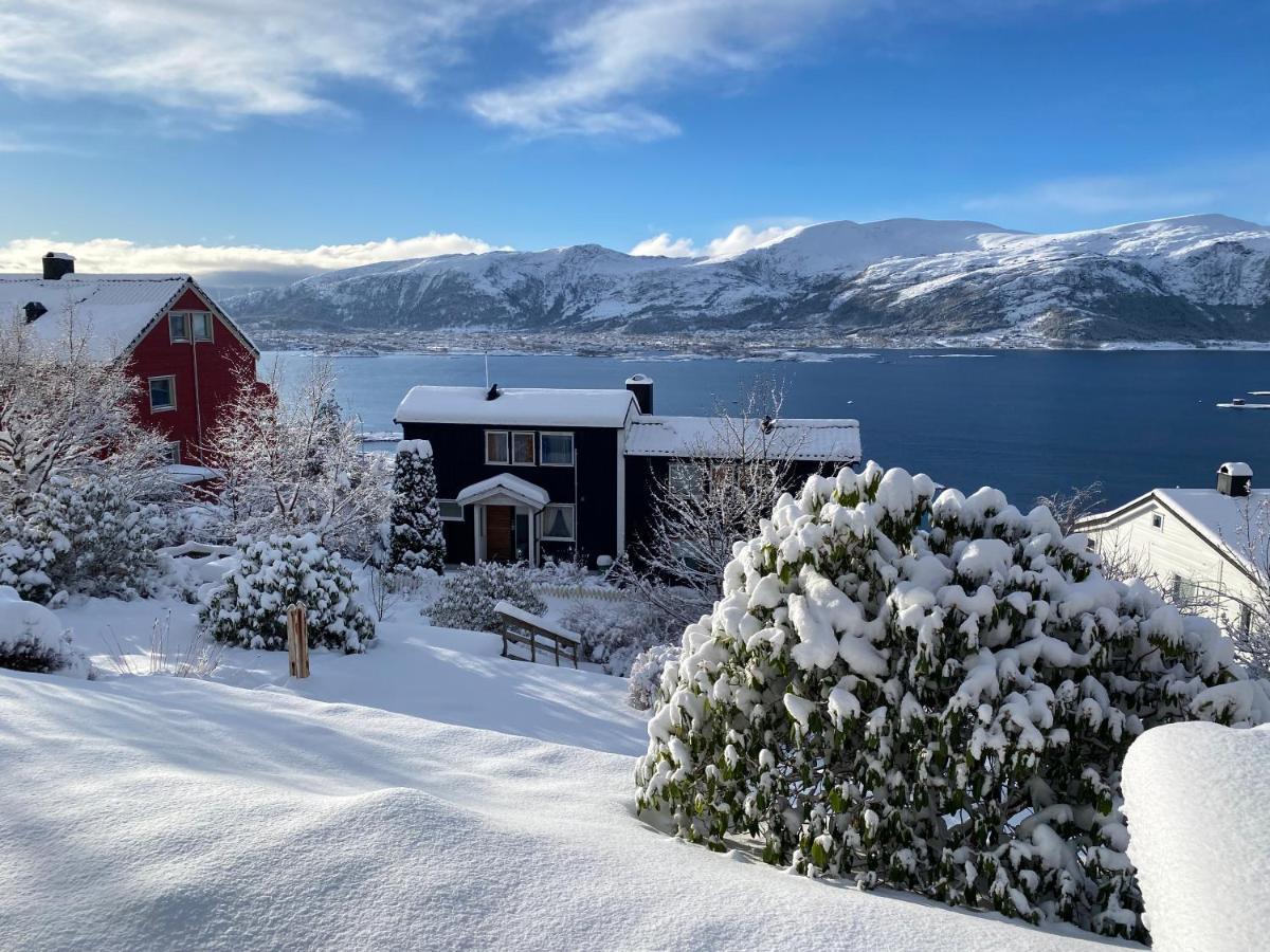 Great Place With View To The Mountains And Fjord Ålesund Buitenkant foto